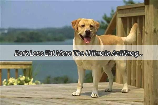 Bark Less Eat More The Ultimate AntiSnag Dog Bowl for Happy Meals